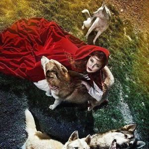 Meet your Posher, Aicul